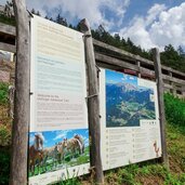 haflinger erlebnisweg infotafel