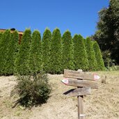 wegweiser bei lajen ried