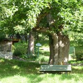 kastanienbaum eingang schalderer tal