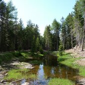 tuempel nahe oberdorf hafling