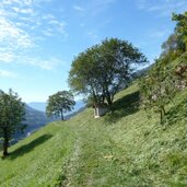meraner hoehenweg suedlich von matatz wiesen