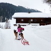 taisten taistner alm winter