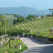 radfahrer bei eppan berg bergstrasse