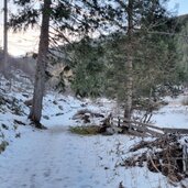 Durnholzer See Rundweg