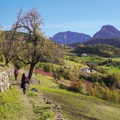 oachner hoefeweg tiersertal