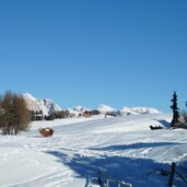 seiser alm pferdeschlitten winter