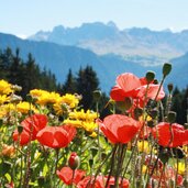 st Peter Lajen Ramitzler Schwaige Raschoetz