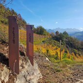 weinwanderweg rebe bei signat mitrosengarten