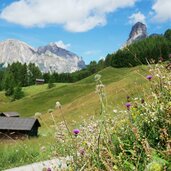 wiesen unter piz arlara