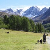 Meraner Hoehenweg Nord Hohe Weisse Talschluss Pfossental