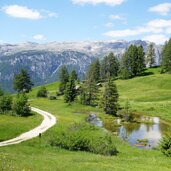 wiesen und see biotop lech valacia