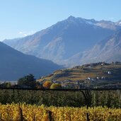 zenoberg bei dorf tirol