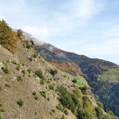 vinschger hoehenweg bei goldrain herbst