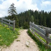 weg rawauer alm zum parkplatz