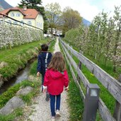 tschermser muehlbachweg weg personen bluete