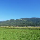 wiese bei pfalzen und am berg fraktion platten