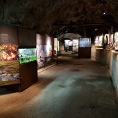 Bunker Mooseum Ausstellung