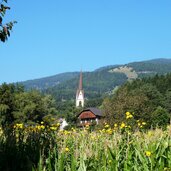 pfalzen ortschaft haselried bei muehlen und issing