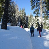 winter weg zur laugenalm