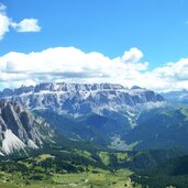 stevia sellastock und darunter wolkenstein