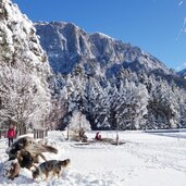 voelser weiher winter eislaufen