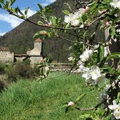 Burggrafenamt Dorf Tirol Fruehling Schloss Tirol