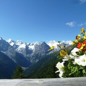 aussicht furkelhuette auf ortlergruppe