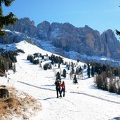 weg zur messnerjoch huette