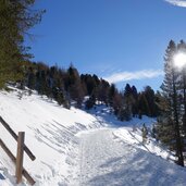 winterwanderweg obereggen oberholz