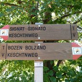 keschtnweg bei signat