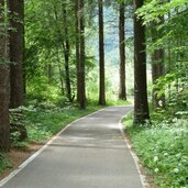radweg muehlbach vintl wald