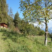 keschtnweg bei buschenschank partschunerhof ritten