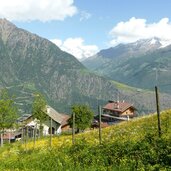 wiesen bei niedermairhof tomberg