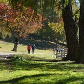 laerchenwiesen bei tschaufen moelten salten wanderer herbst