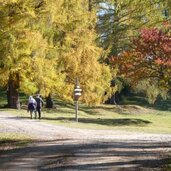 laerchenwiesen bei tschaufen moelten salten wanderer herbst