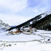 pfelders zeppichl winter