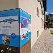 Museum