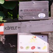 Koefeleweg Moelten