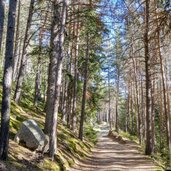 waldweg zur unterpulghuette nr