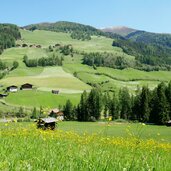 hoefe bei innermuehlwald muehlwalder tal