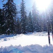 Langlaufen Toblach ski