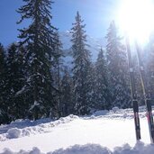 Langlaufen Toblach ski