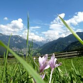 panider sattel blick auf st ulrich