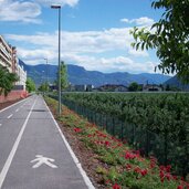 bozen don bosco radweg firmian