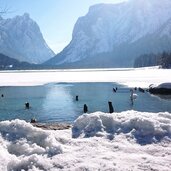 Langlaufen Toblach toblacher see