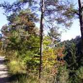 wanderweg obersirmian nach grissian