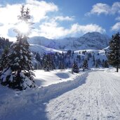 weg nr seiser alm saltria winter rodelbahn molignon