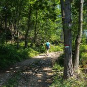 weg nr richtung rittner horn