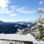 tiers wuhnleger weg aussicht richtung westen steinegg