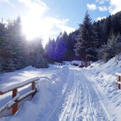 forstweg zur liegalm winter deutschnofen